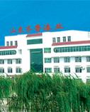 山東齊魯漆業有限公司